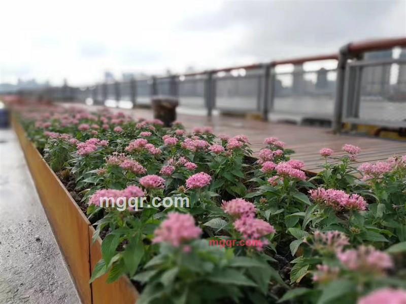 墨雨夕的第4张照片