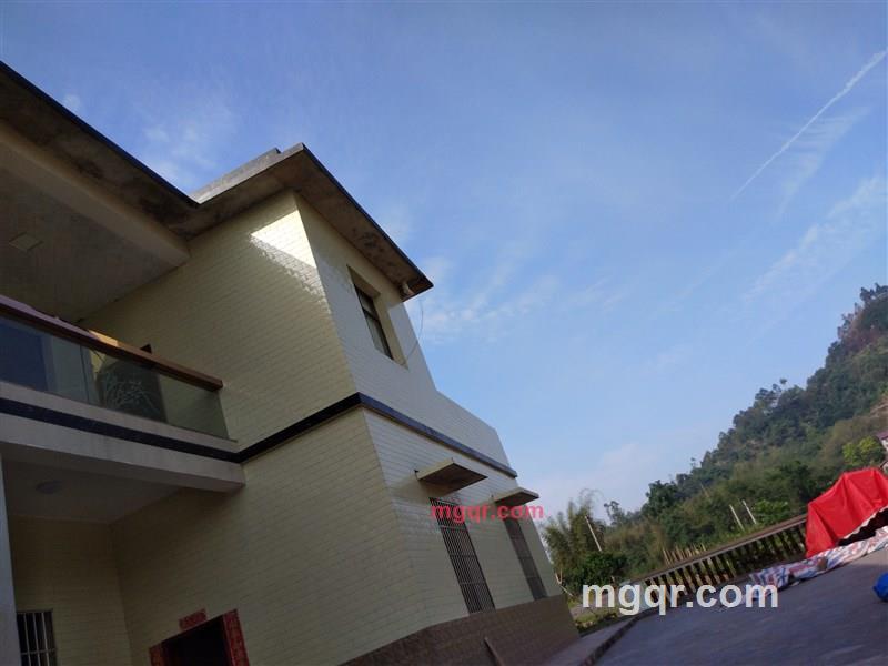 孤独的心的第1张照片