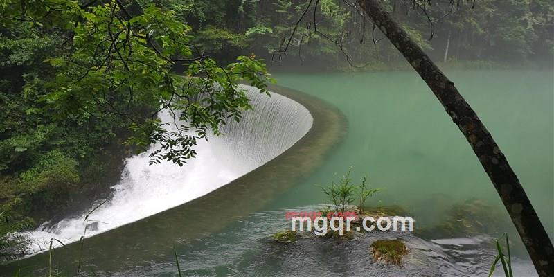 小猫咪的第4张照片