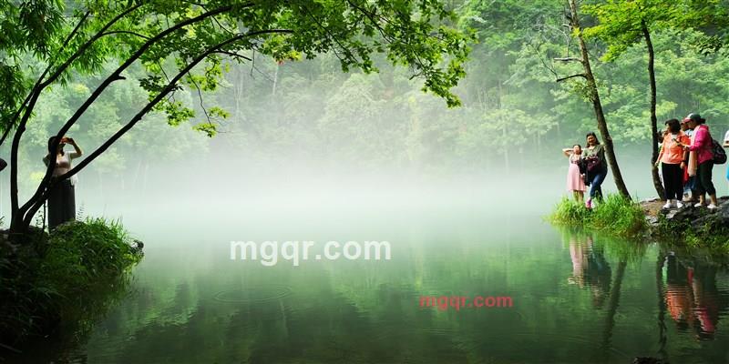 小猫咪的第3张照片