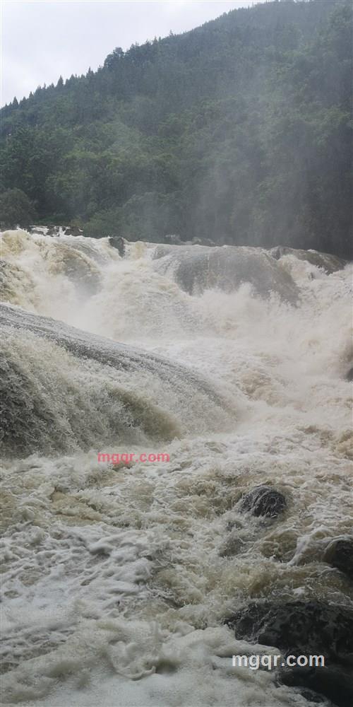 小猫咪的第2张照片