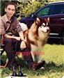 温风如酒的第3张照片