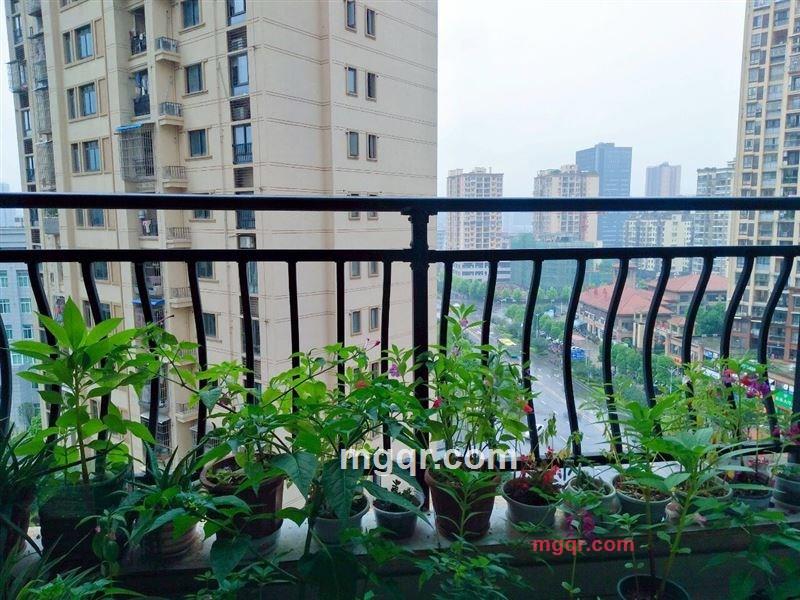 ??柔吻??秋色??的第5张照片