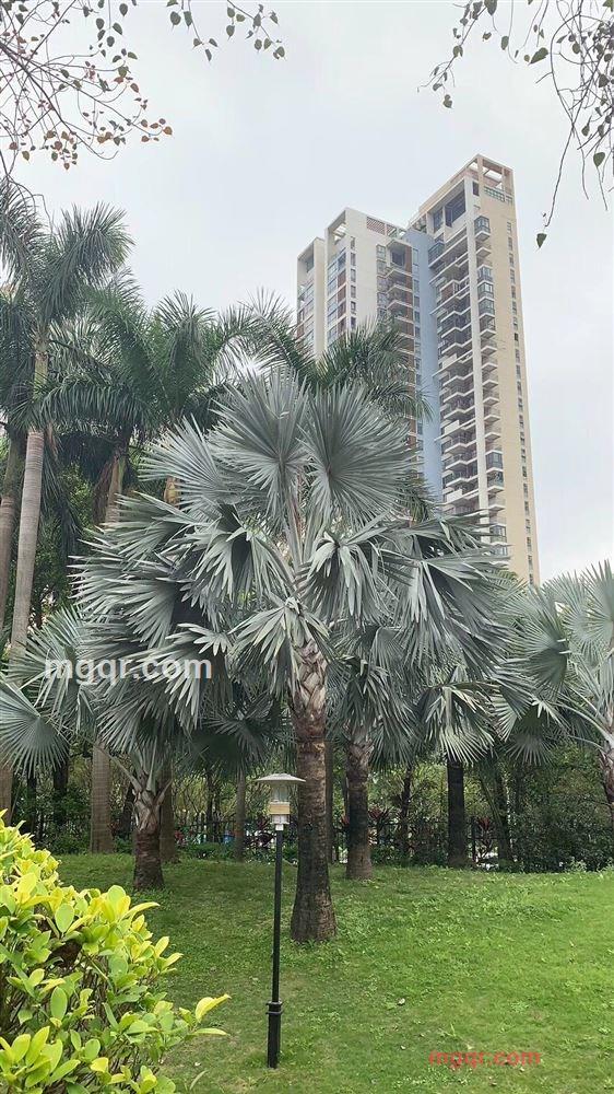 ??柔吻??秋色??的第1张照片