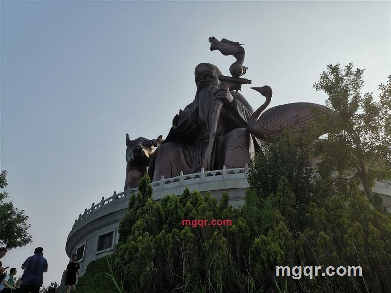 春天里的小太阳的第1张照片