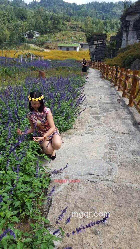 醉蓝凌瑶的第1张照片