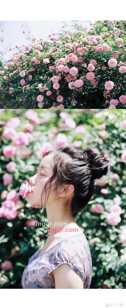 chloe的第1张照片