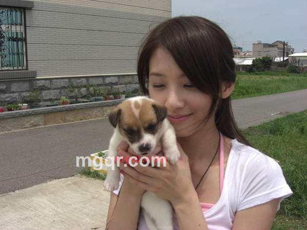 寻缘人的第2张照片