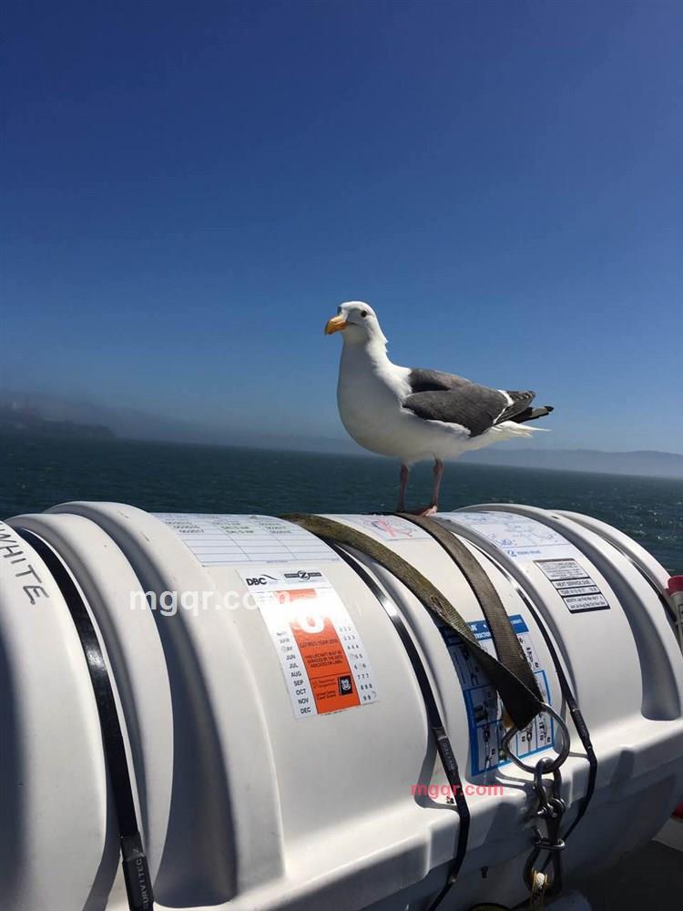 只想找个知己的第4张照片