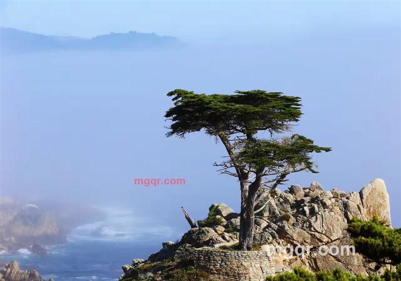 只想找个知己的第3张照片