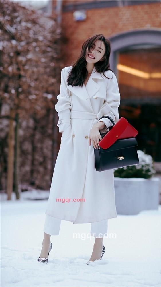 天山雪莲的第1张照片