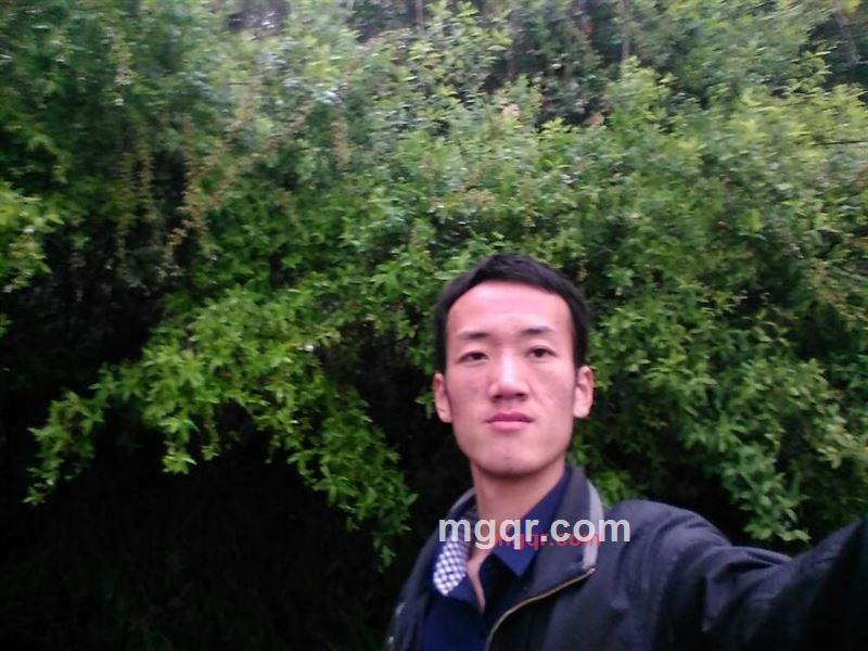 无言征服的第1张照片