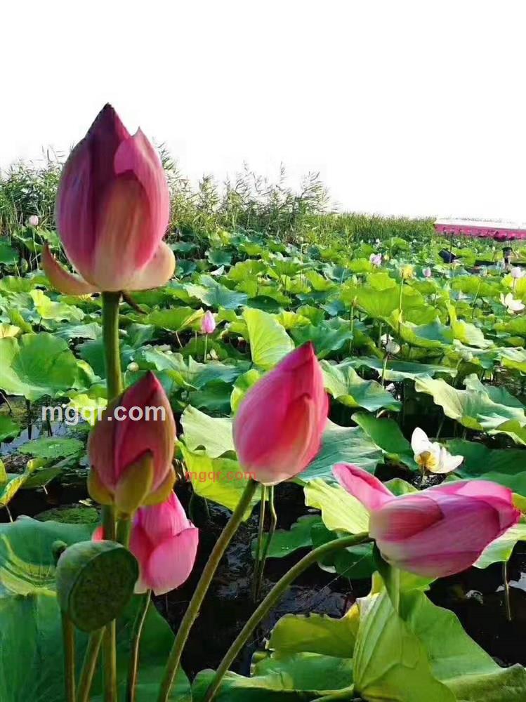 水色的第1张照片