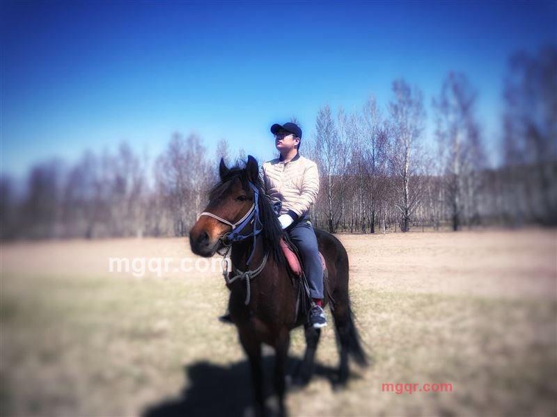 。。。。。的第1张照片