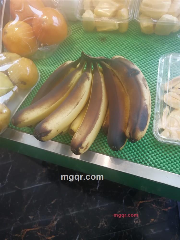 我的青春喂了狗的第1张照片