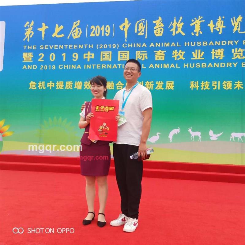 纵横开合的第2张照片