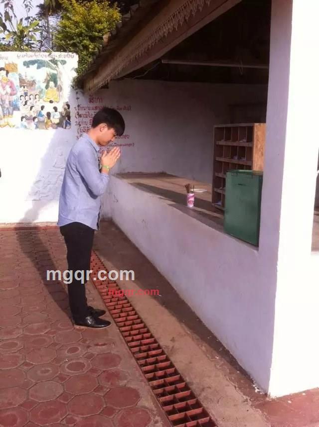 小白菜11的第4张照片