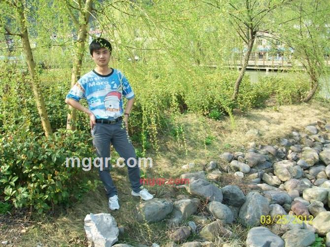 小白菜11的第1张照片