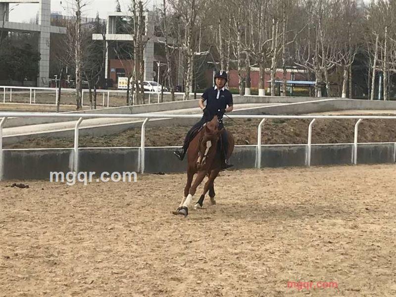 天气不好的第2张照片