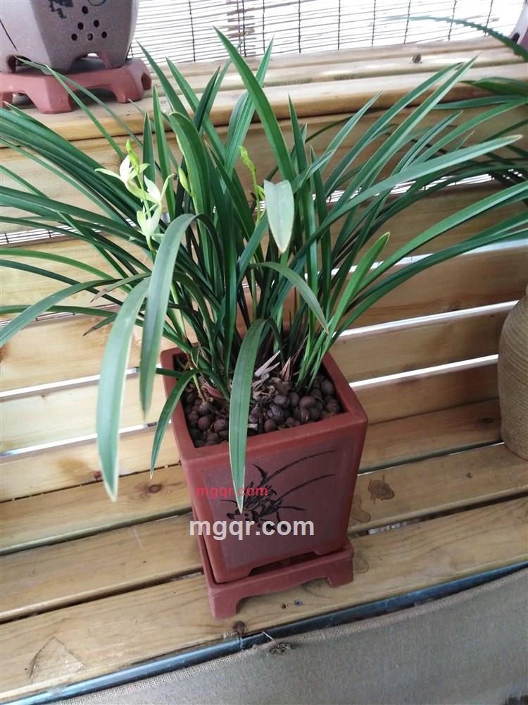 Z珍珍的第1张照片