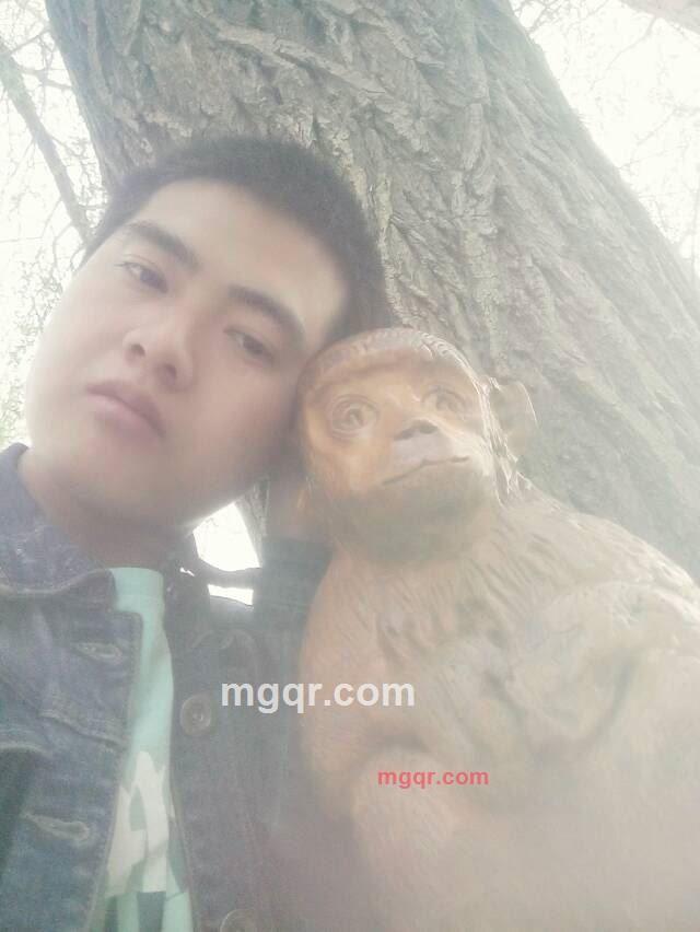 张碧发的第2张照片