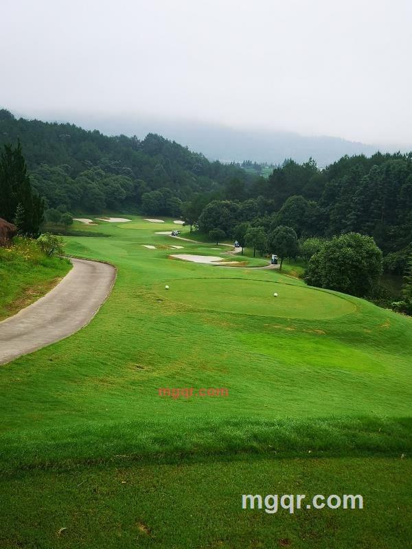 开心就好的第1张照片