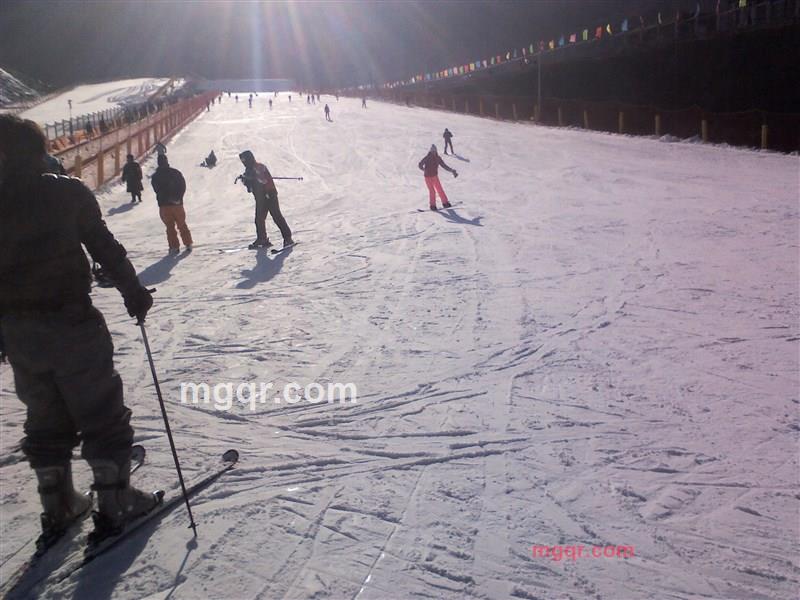 金牌??杀手的第3张照片