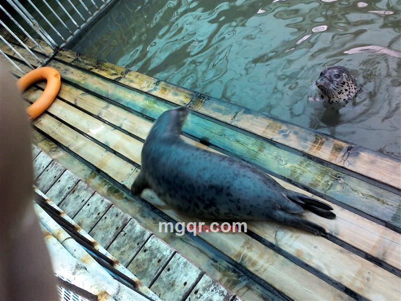 金牌??杀手的第2张照片