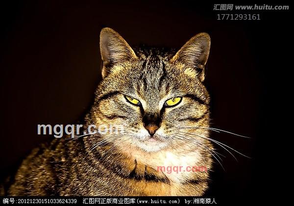 哥哥龙卷风的第1张照片