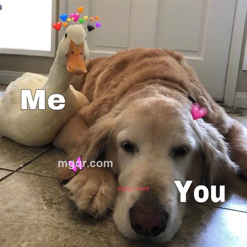 小炒肉的第3张照片