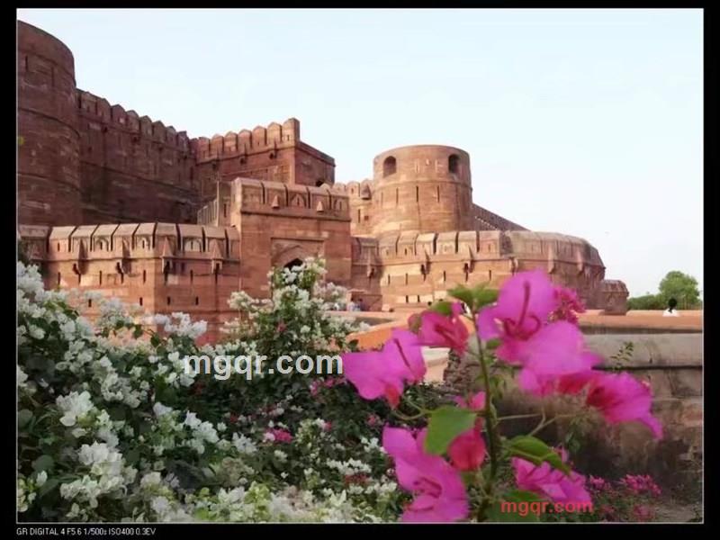 情随事迁转身泪倾城的第2张照片