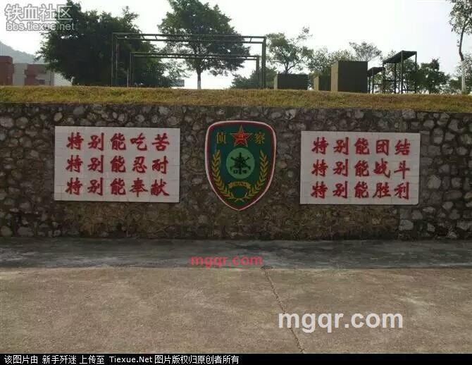 **退伍又大又粗的第2张照片