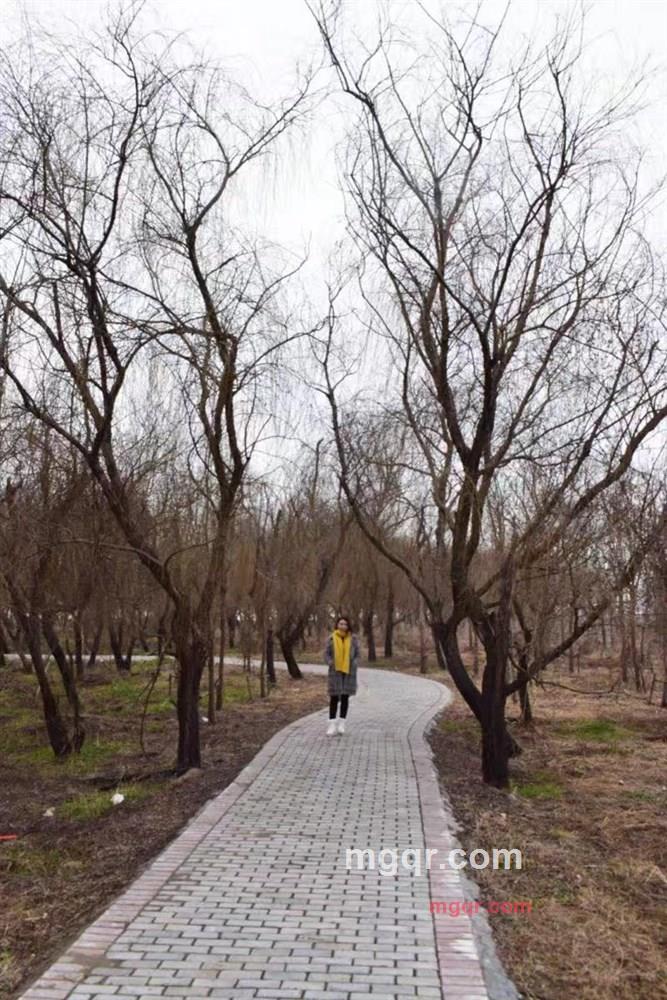 冰点味的第22张照片