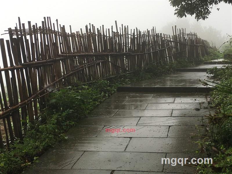 华子GG的第1张照片