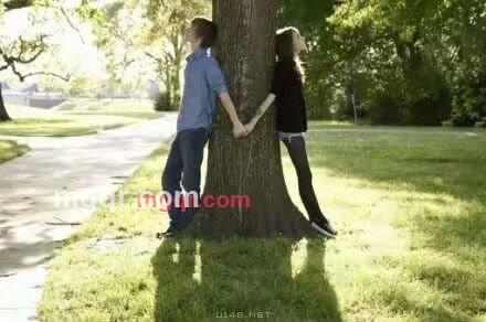 北雪南飞的第3张照片