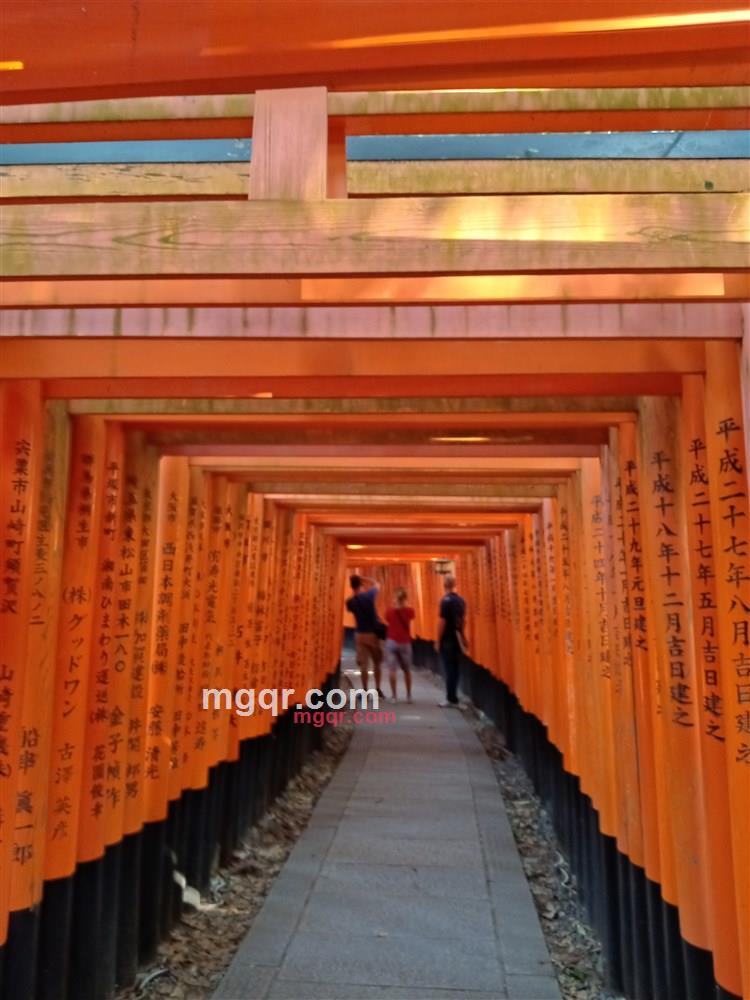 真诚想待的第1张照片