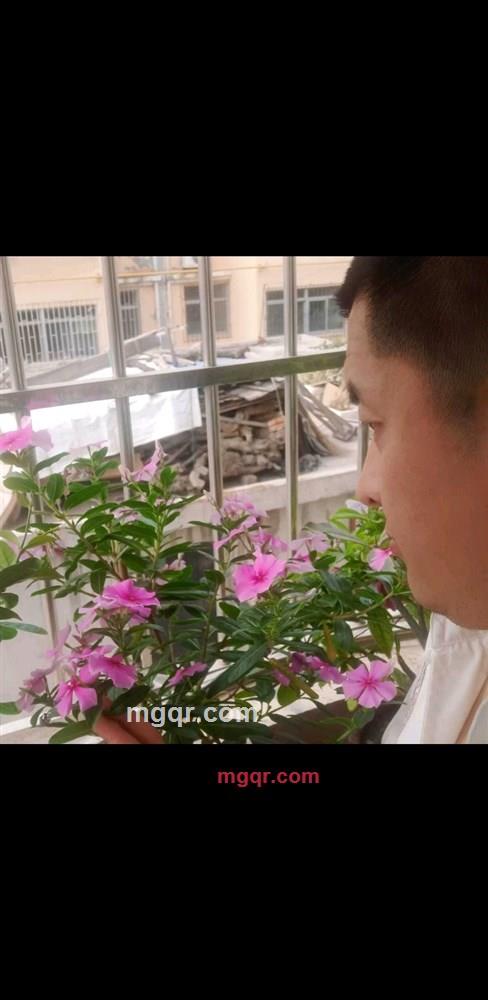 孤独的落寞的第1张照片
