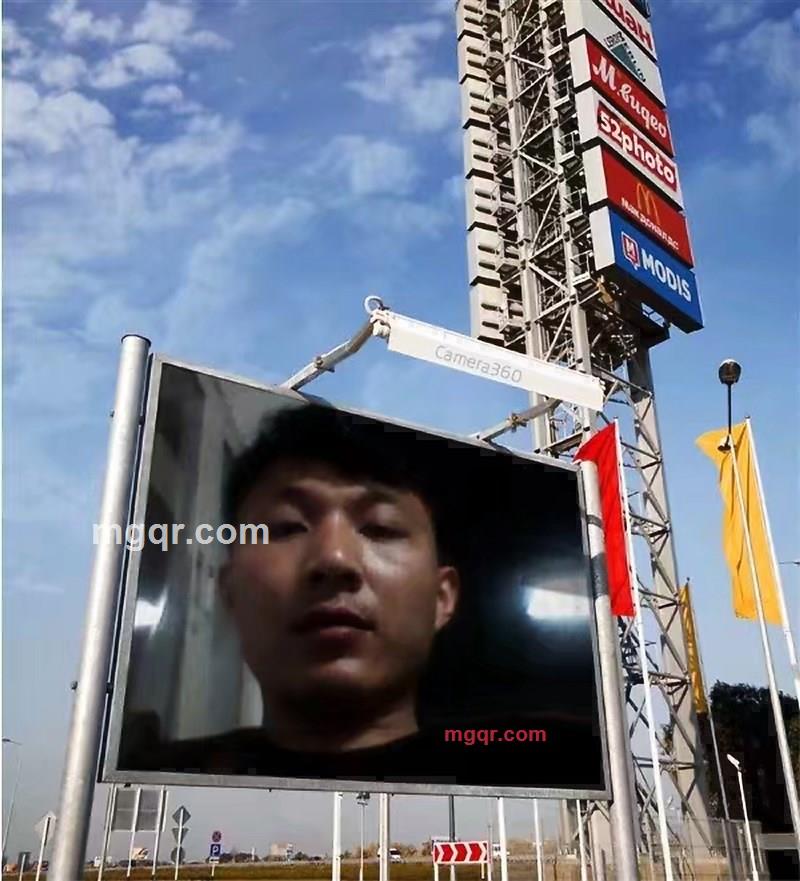 西伯利亚狼的第5张照片