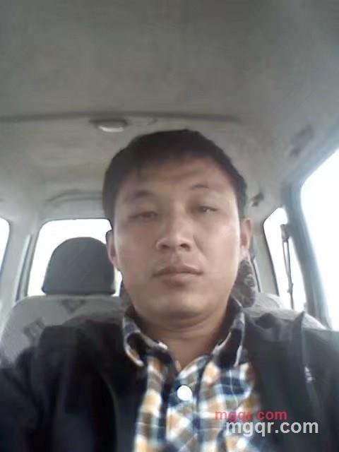 西伯利亚狼的第3张照片