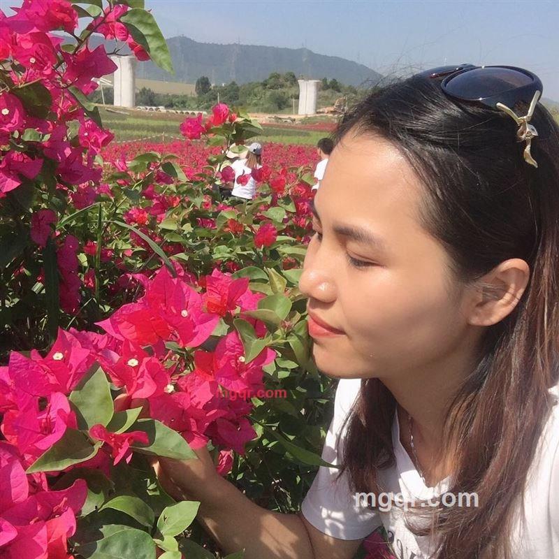 宝贝猪的第1张照片