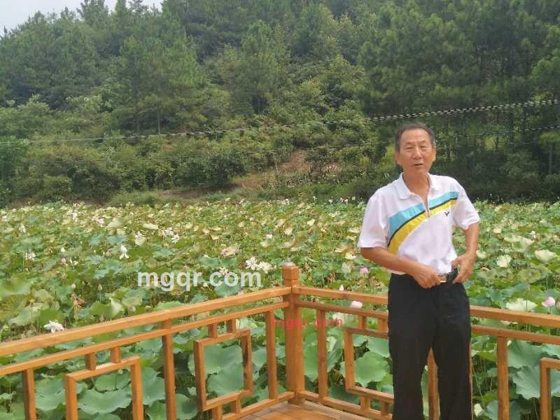 走来走去2的第1张照片