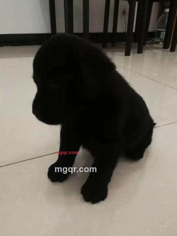 一青的第2张照片