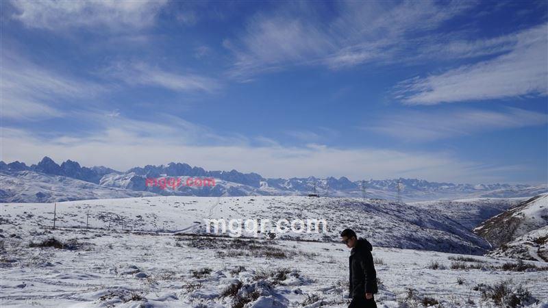 罗成的第1张照片