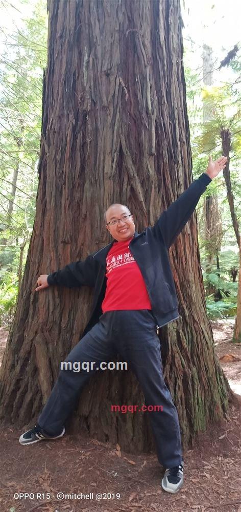 感情援助的第6张照片