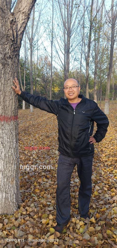 感情援助的第1张照片