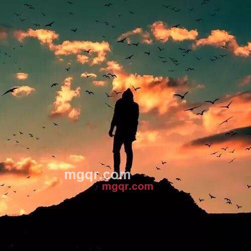 来吧 宝贝的第3张照片