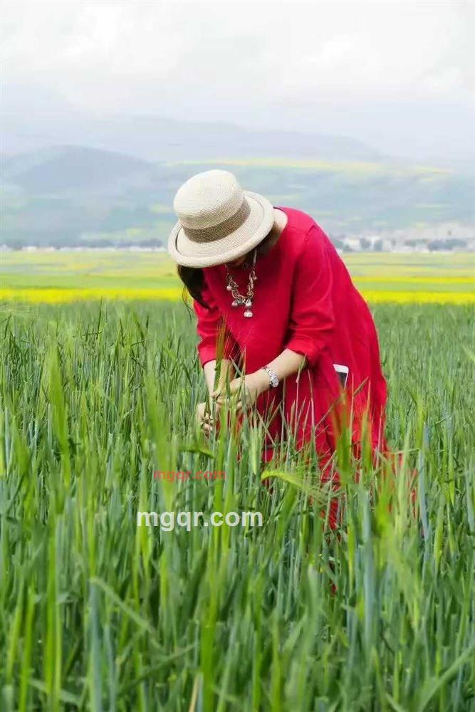 骑猪的神仙的第1张照片