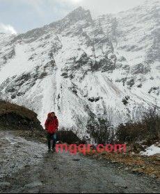 流氓兔的第2张照片