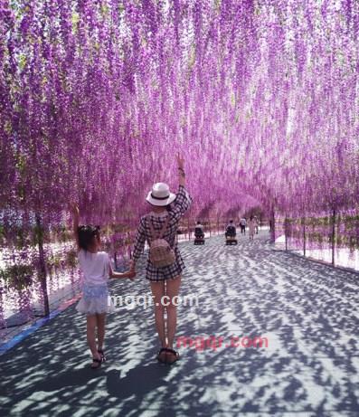 美好时光的第3张照片