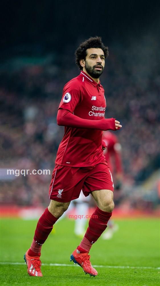 西伯利亚狼的第1张照片